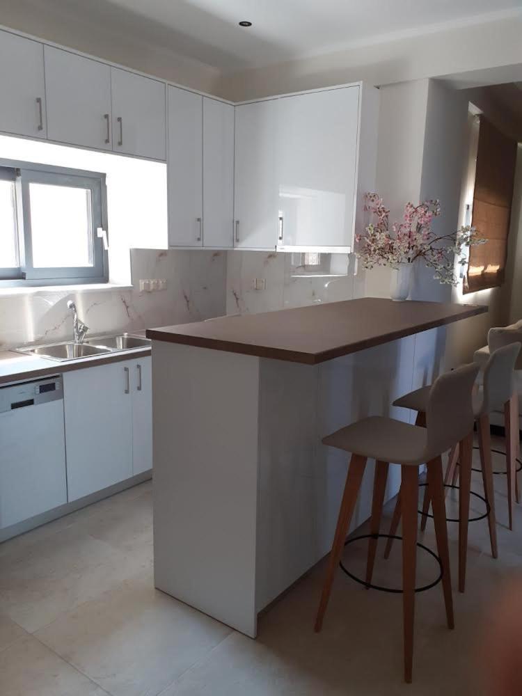 Ionian Stone Luxury Villa Nikiána Kültér fotó