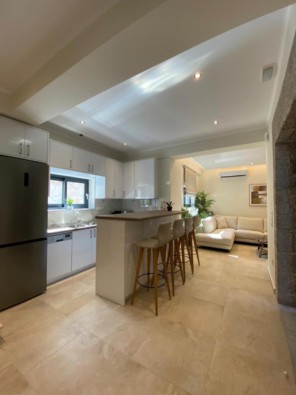 Ionian Stone Luxury Villa Nikiána Kültér fotó
